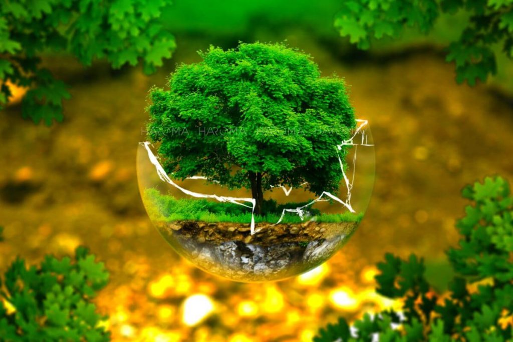 Sử dụng gỗ nhựa sẽ giúp bảo vệ tài nguyên rừng, ngăn ngừa chặt phá rừng ảnh hưởng đến thiên thiên