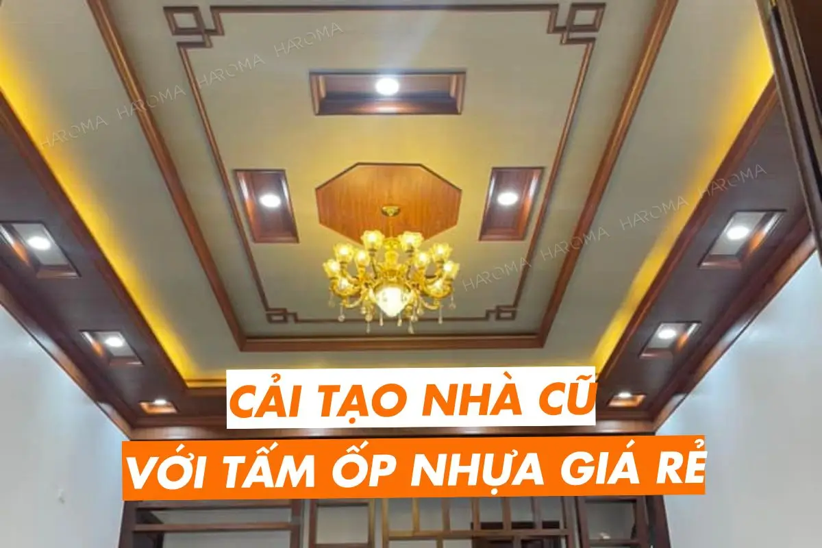 Tấm ốp tường giá rẻ | Giải pháp cải tạo tường nhà siêu tiết kiệm