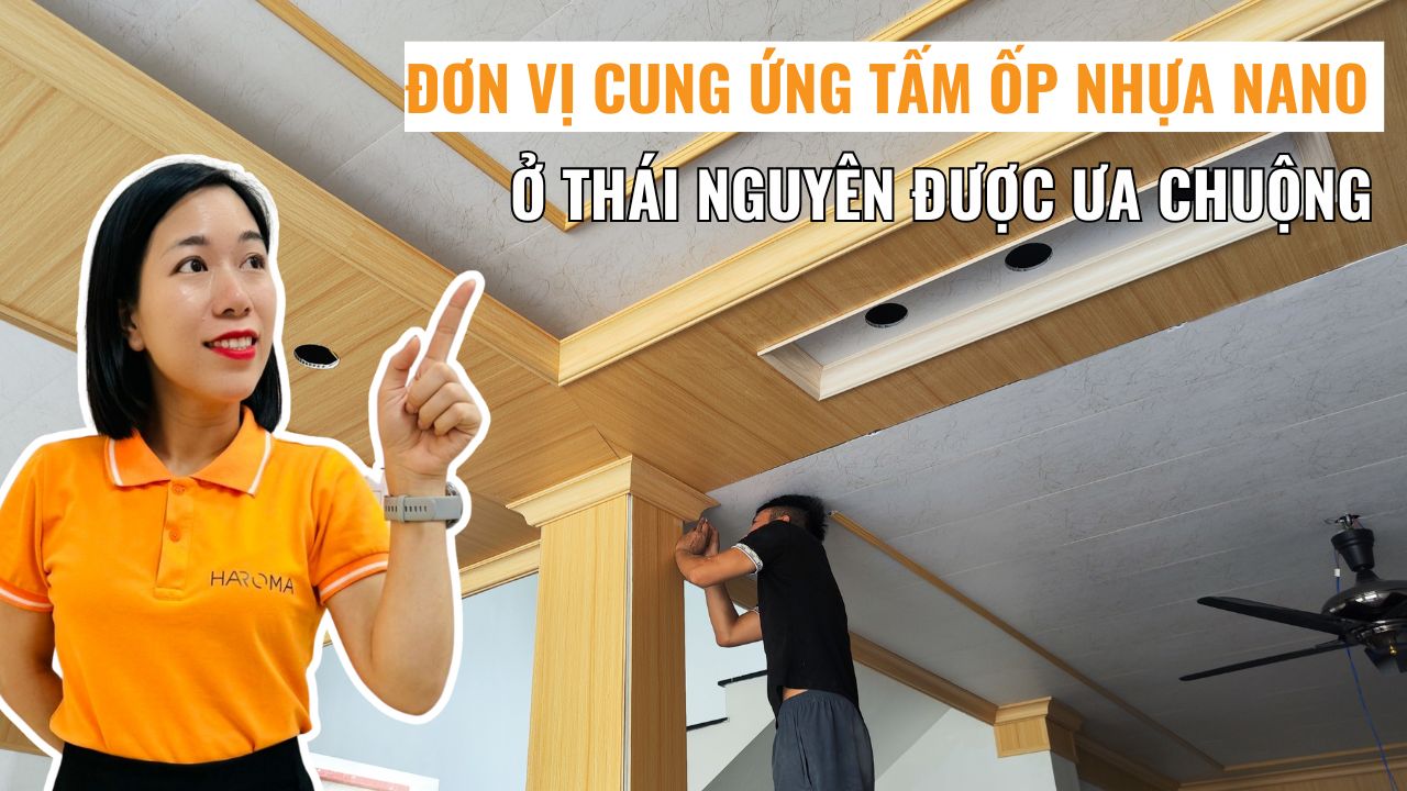 Đơn vị cung ứng tấm ốp nhựa nano ở Thái Nguyên được ưa chuộng