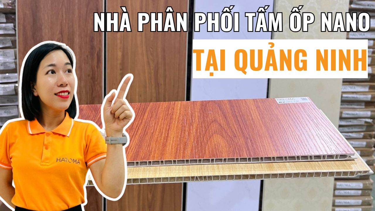 Phú Thọ mua tấm nhựa ốp tường nano ở đâu cho yên tâm?