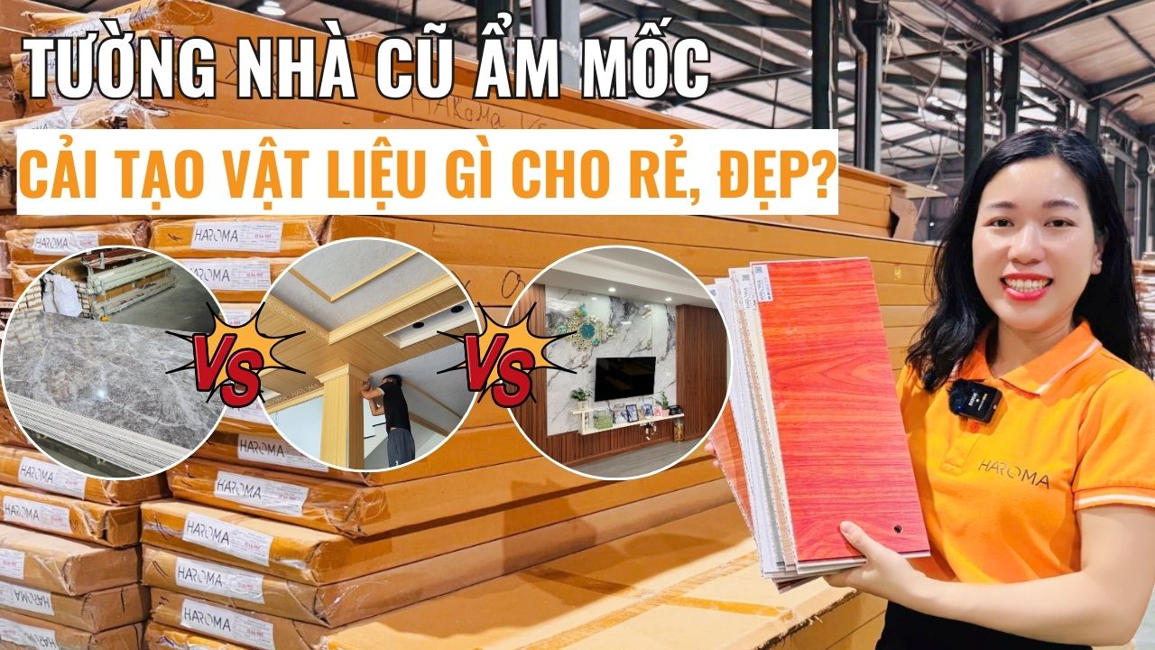 Tường nhà cũ ẩm mốc thì cải tạo bằng vật liệu gì cho rẻ, đẹp?